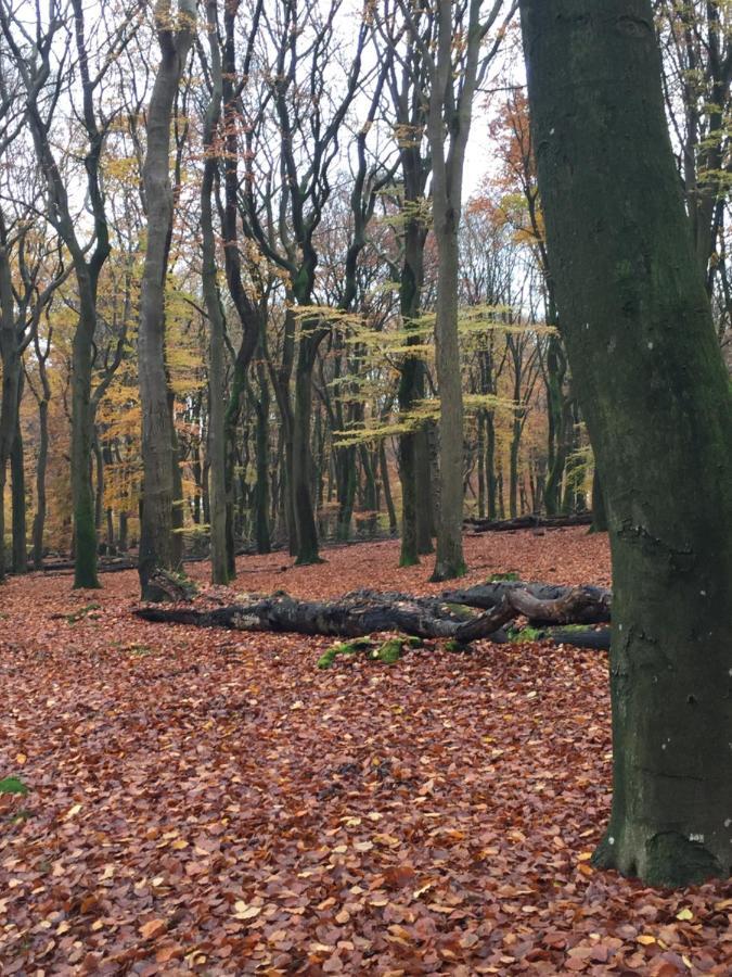 Riemershof Ermelo Dış mekan fotoğraf